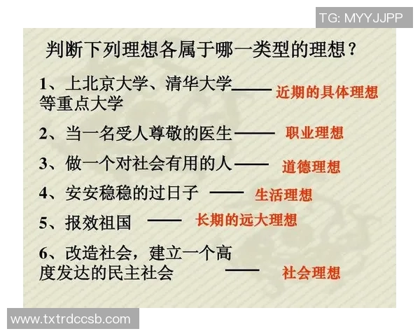 实时新闻深度对话杨娜从绿茵场到人生舞台的奋斗与成长